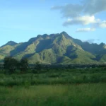 electronic_entry_global_e-visa_Tanzania_post02