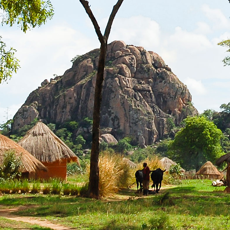 electronic_entry_global_e-visa_Zambia_post01